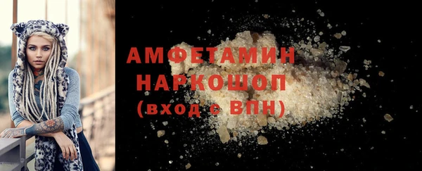 ешки Горняк