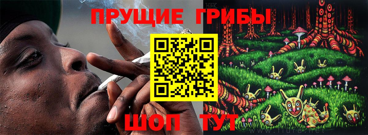 Галлюциногенные грибы GOLDEN TEACHER  Вход с VPN  Нерюнгри 