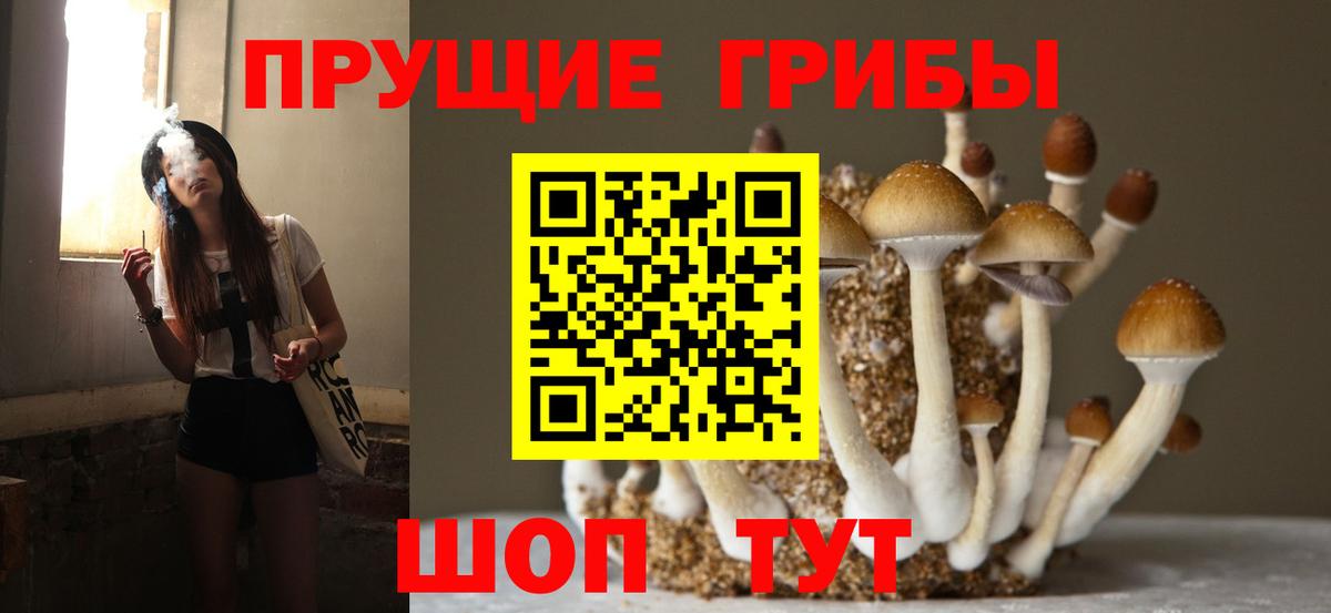 Псилоцибиновые грибы GOLDEN TEACHER Нерюнгри