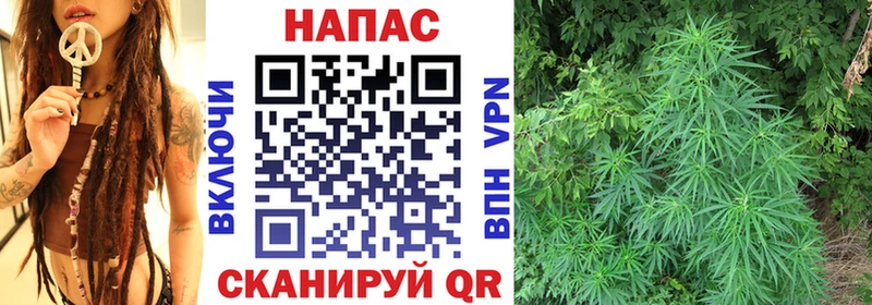 Конопля Bruce Banner  Нерюнгри 